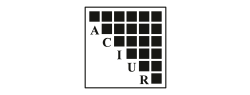 ico1-1
